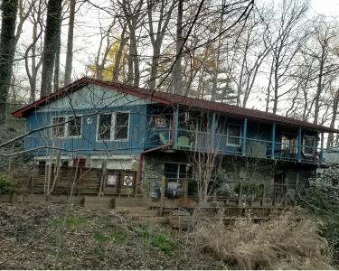 House Sitting in Asheville, North Carolina