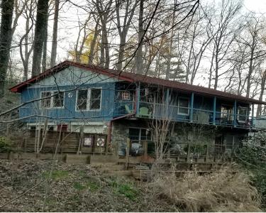 House Sitting in Asheville, North Carolina