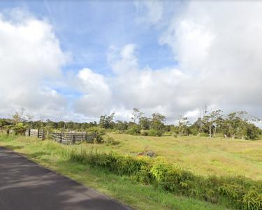 House Sitting in Volcano, Hawaii