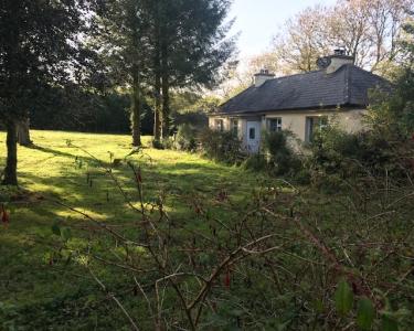 View Details of House Sitting Assignment in Sligo, Ireland