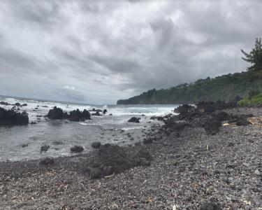 House Sitting in Laupahoehoe, Hawaii