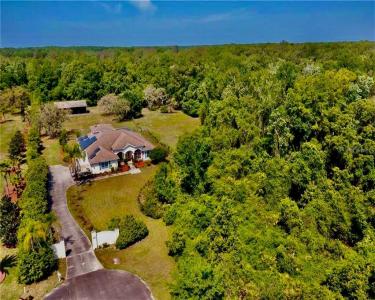 View Details of House Sitting Assignment in Tampa Bay Area, Florida