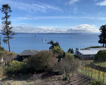 House Sitting in Bainbridge Island, Washington