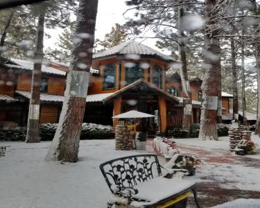 House Sitting in Bend, Oregon