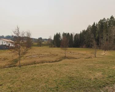 House Sitting in Kempten, Germany