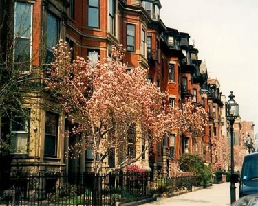View Details of House Sitting Assignment in Boston, Massachusetts