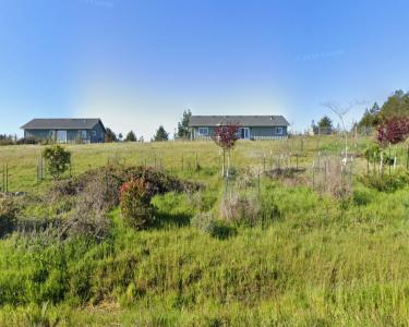View Details of House Sitting Assignment in Sebastopol, California