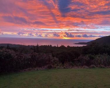 View Details of House Sitting Assignment in Captain Cook, Hawaii