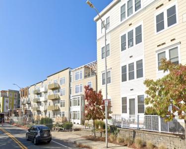 View Details of House Sitting Assignment in Cambridge, Massachusetts