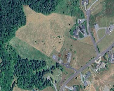 View Details of House Sitting Assignment in Roy, Washington