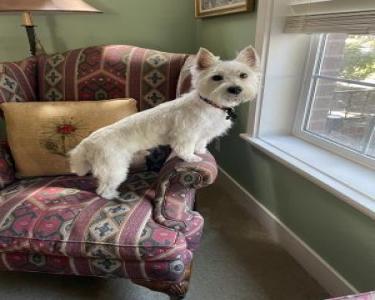 View Details of House Sitting Assignment in Wilsonville, Oregon