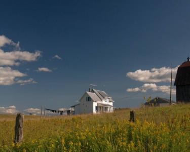 View Details of House Sitting Assignment in Bristol, Canada