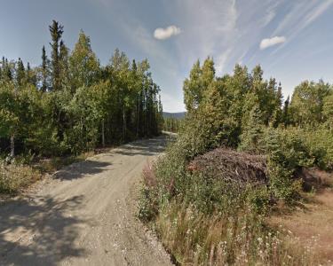 View Details of House Sitting Assignment in Fairbanks, Alaska