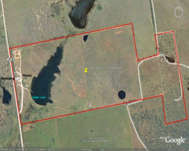 View Details of House Sitting Assignment in Lockhart, Texas