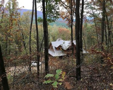 View Details of House Sitting Assignment in Danville, Arkansas