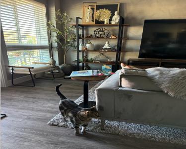 View Details of House Sitting Assignment in Ewa Beach, Hawaii