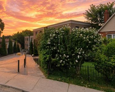 View Details of House Sitting Assignment in Toronton, Canada