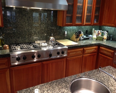 House Sitting in La Selva Beach, California