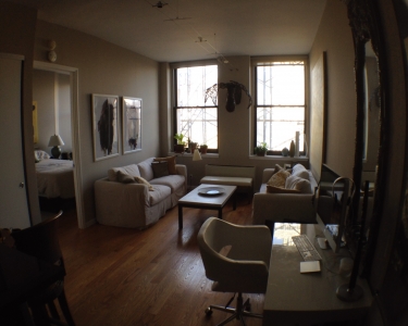 House Sitting in New York, New York