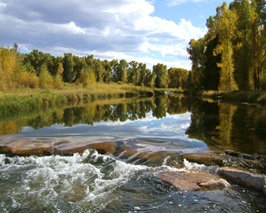 House Sitting in Blue River, Colorado