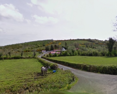 View Details of House Sitting Assignment in County Leitrim, Ireland