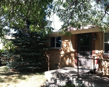 House Sitting in Arvada, Colorado