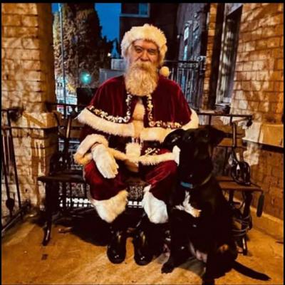 House Sitter Kevin Mcnamara